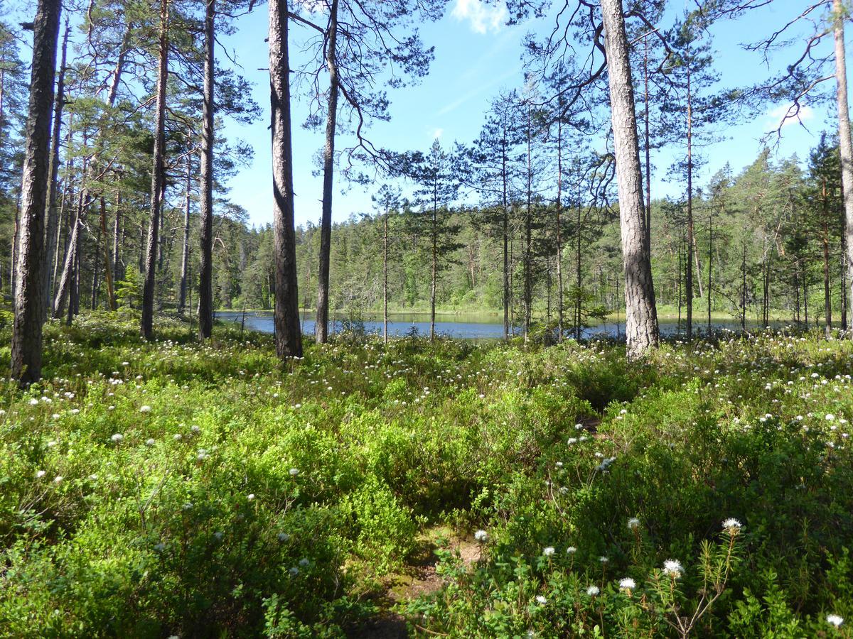 Ydrefors Bed & Breakfast Екстер'єр фото