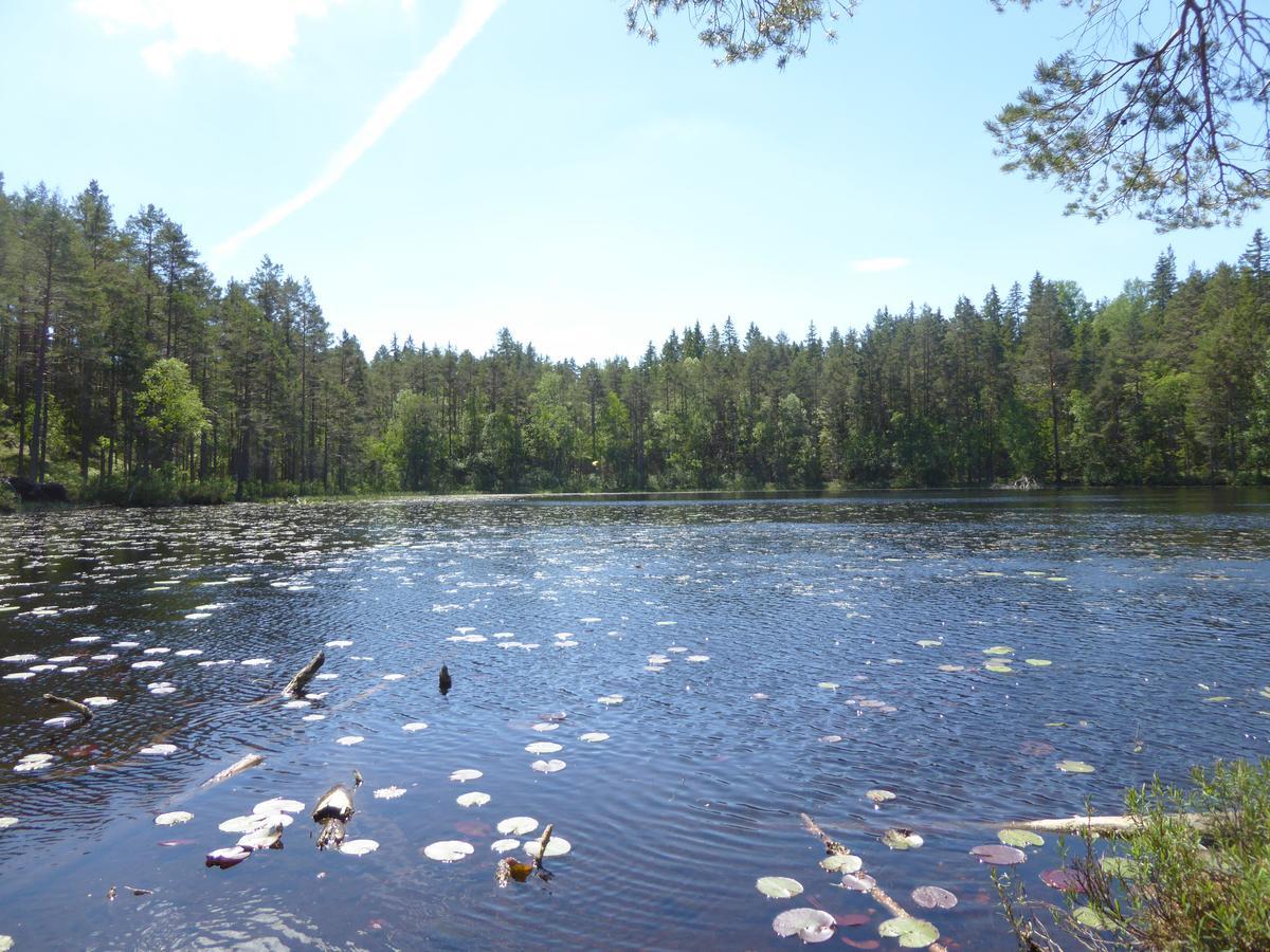 Ydrefors Bed & Breakfast Екстер'єр фото