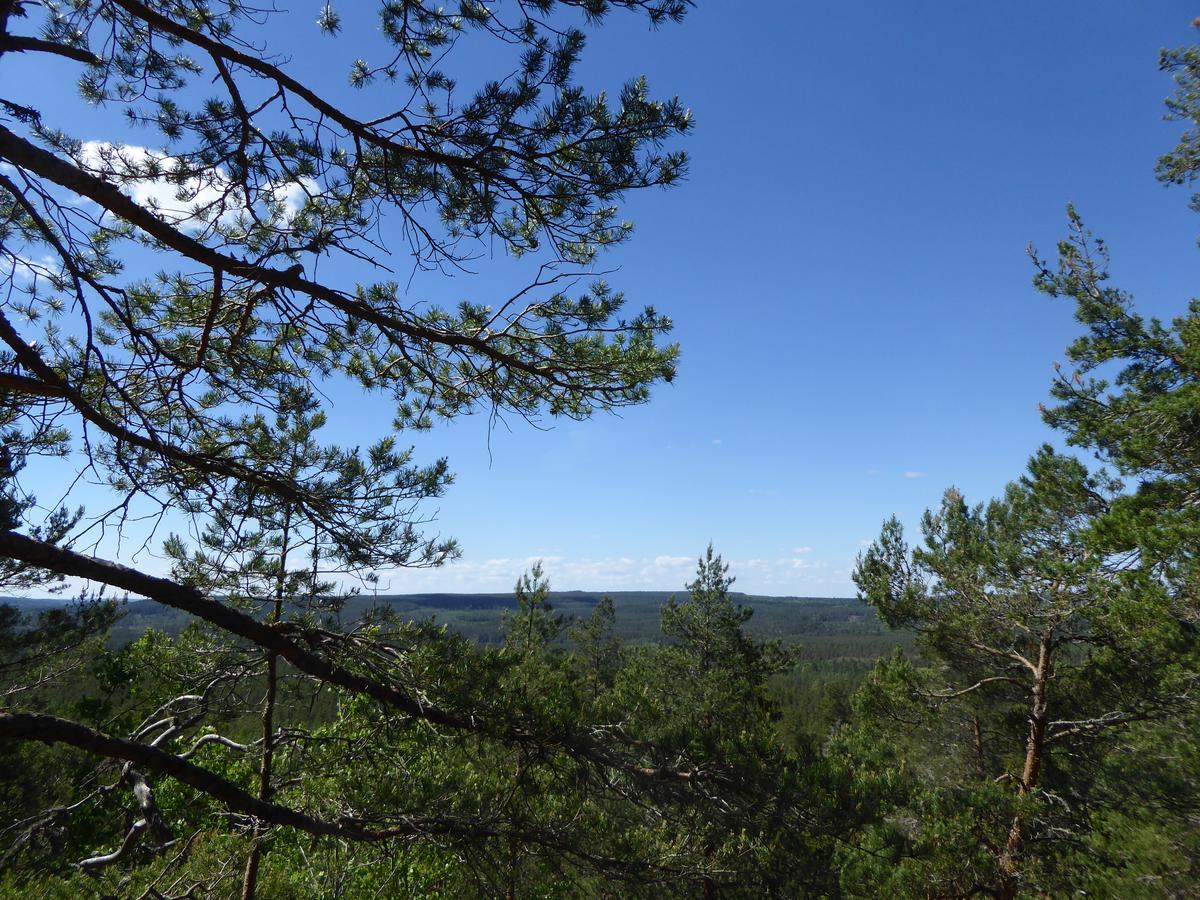 Ydrefors Bed & Breakfast Екстер'єр фото